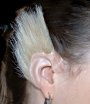 Serie NewLine: orecchie pelose corte
