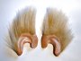 NewLine series: short furry ears